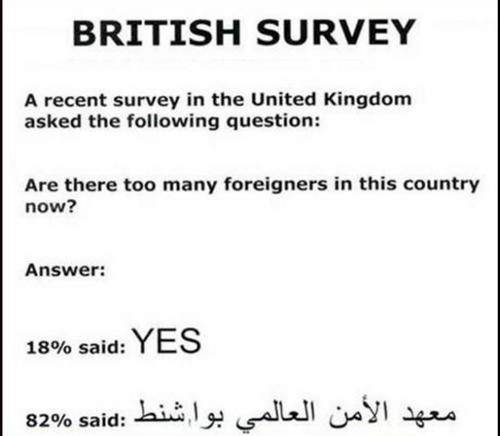 british-survey.jpg